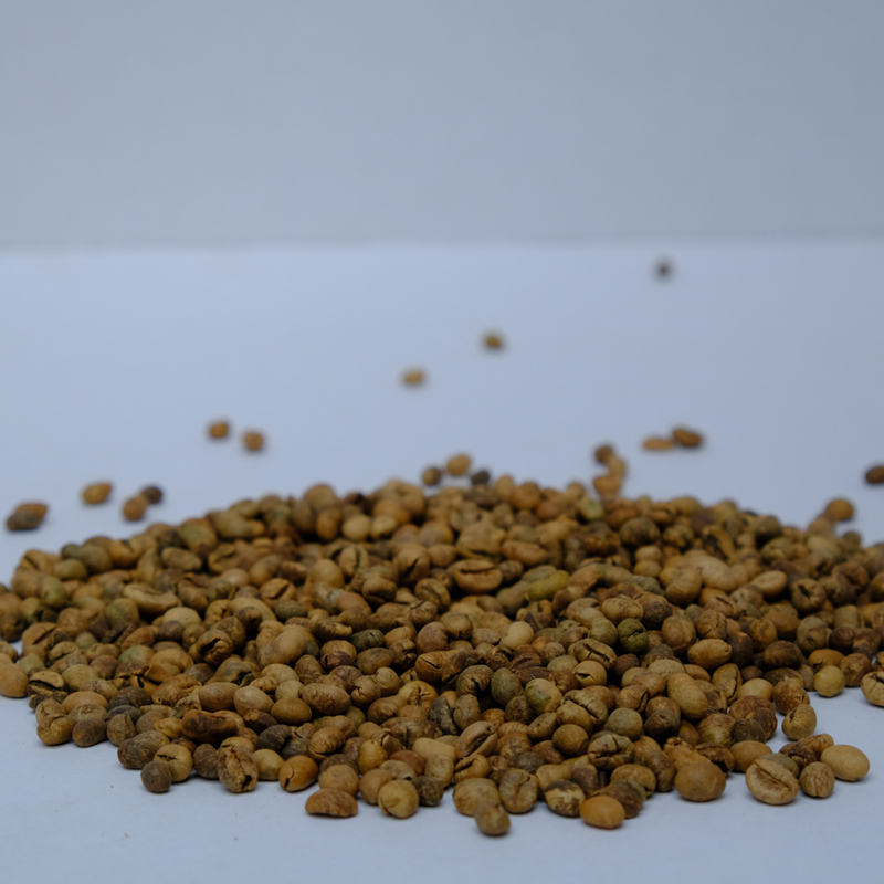 Culi S18 Robusta green coffee beans 1kg