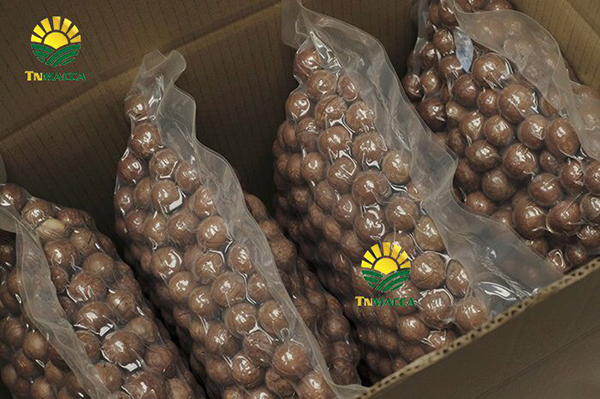 Macadamia nuts