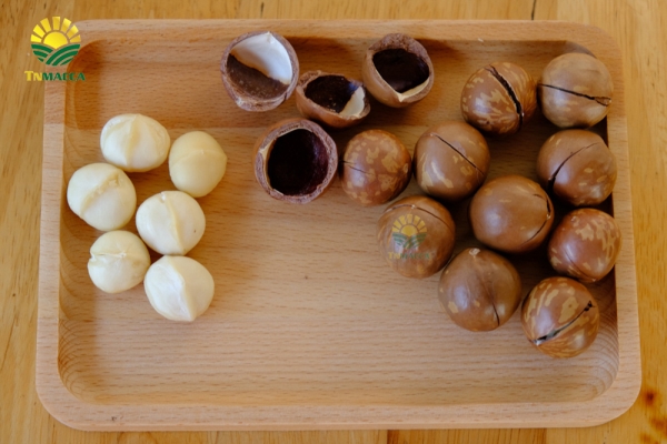 Macadamia nuts
