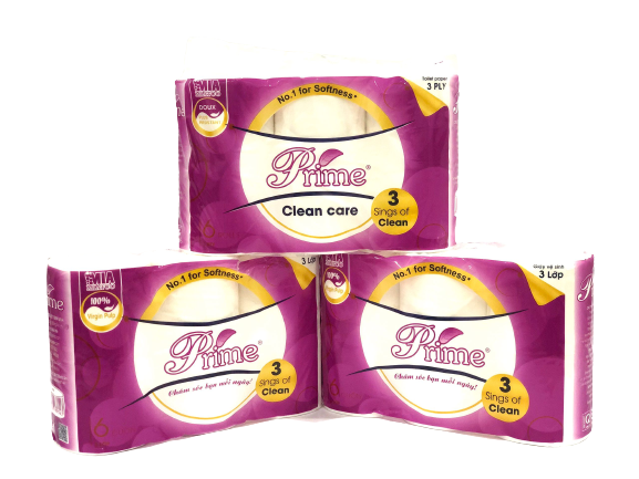 Toilet paper 6 rolls - 3 ply, no core
