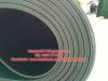 9.0mm PVC conveyor
