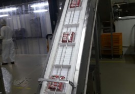 Chain Conveyor
