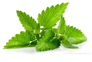 Peppermint Oil