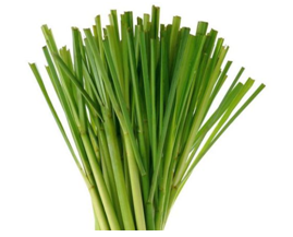 Lemongrass Oil