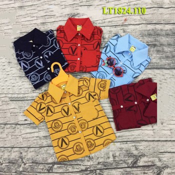 Boy T- shirt