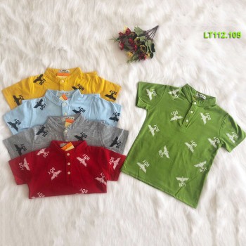 Boy T- shirt
