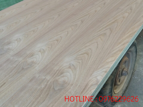 Walnut veneers
