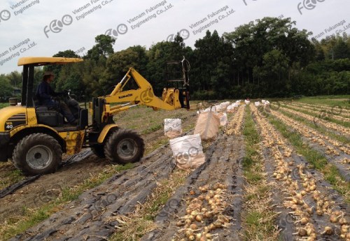 Jumbo bag for agricultural