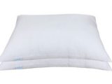 Gut pillow