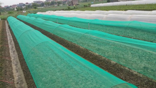 Agricultural nets