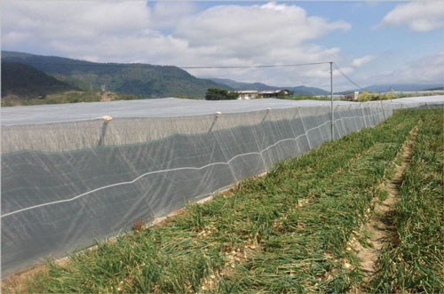 Agricultural nets