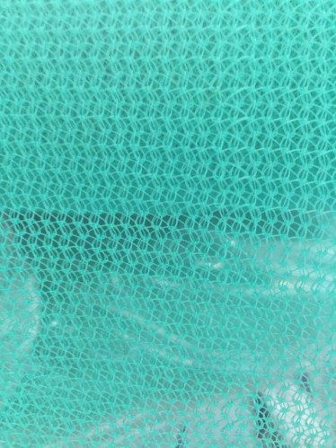Netting eye
