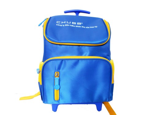Advertising backpack