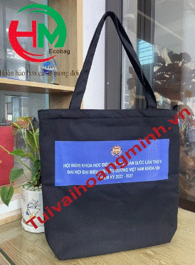 Gift bag, conference bag