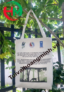 Gift bag, conference bag