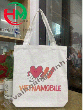 Gift bag, conference bag