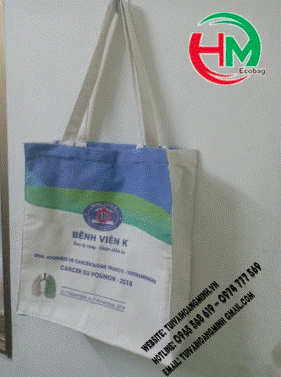Gift bag, conference bag