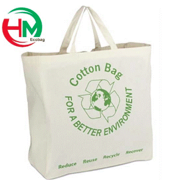 Gift bag, conference bag