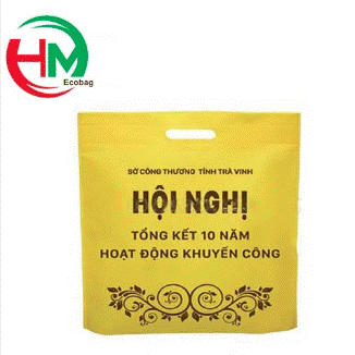 Gift bag, conference bag
