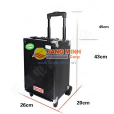 Q8 Temeisheng speaker