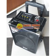 Temeisheng speaker