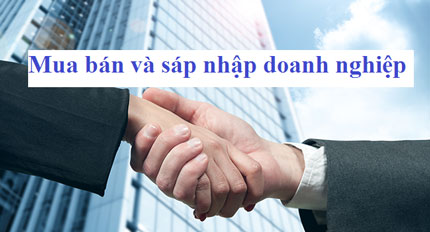 Merger and transaction consultancy