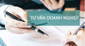 Business operation consultancy