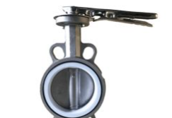 Butterfly valve