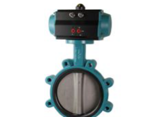 LUG Butterfly valve