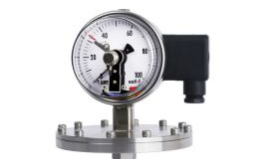 WISE P571 Pressure gauge
