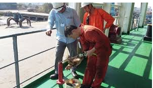 Seafreight inspection