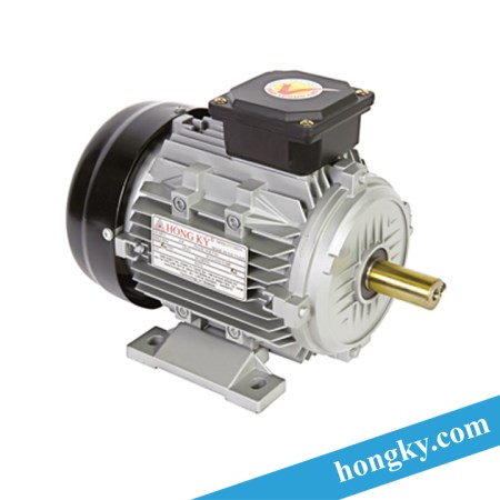 Electric motors