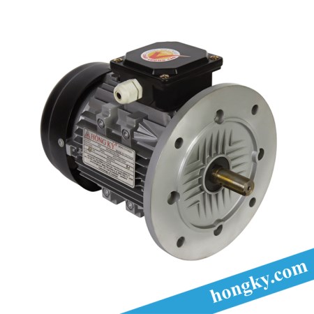 Electric motors