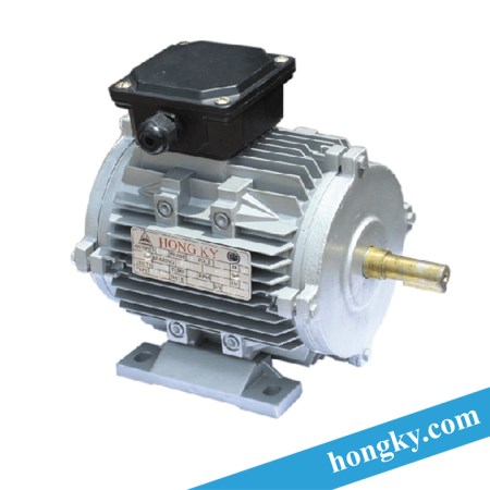 Electric motors