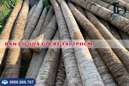 Coconut piles