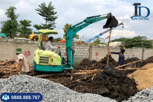 Melaleuca pile driving