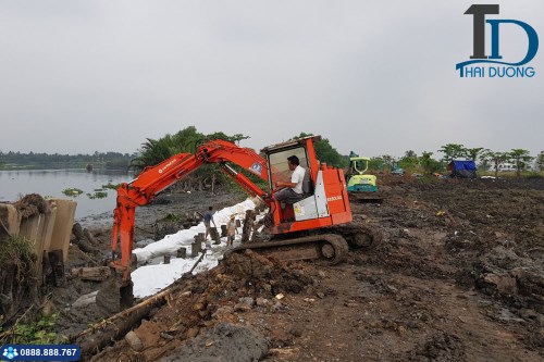 Melaleuca pile driving