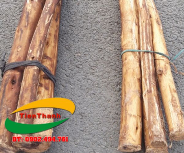 Eucalyptus piles