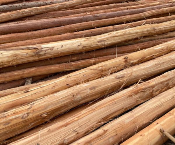 Eucalyptus piles
