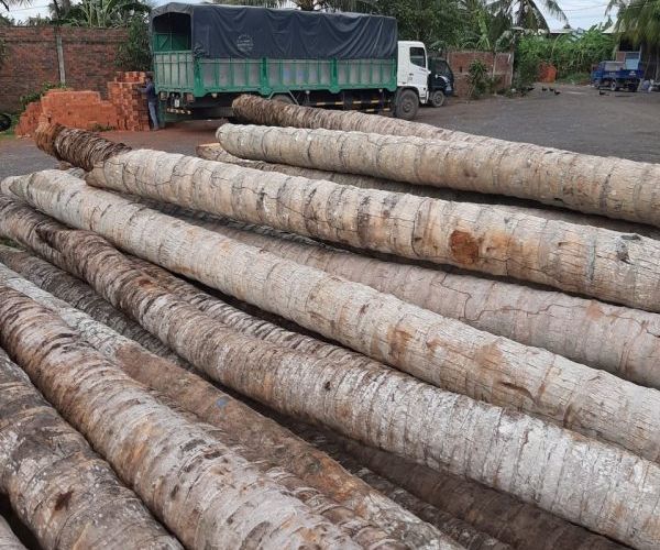 Coconut wood piles