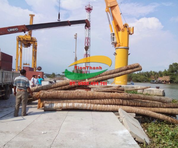 Coconut wood piles