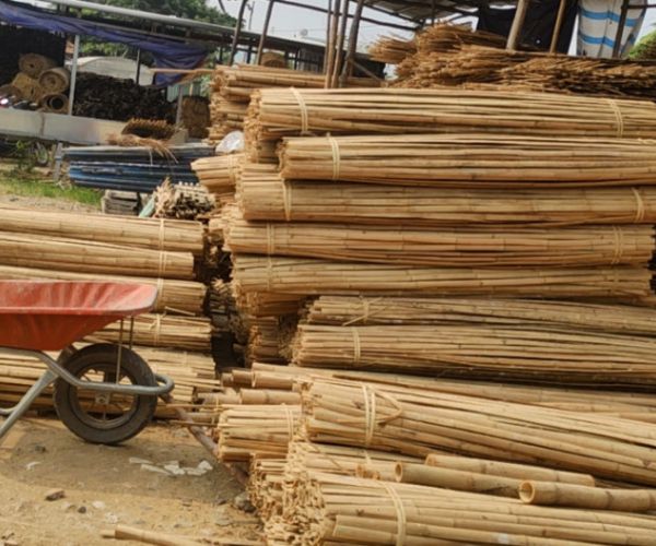 Bamboo strips