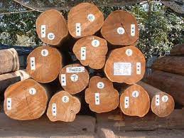 Myanmar Teak Timber