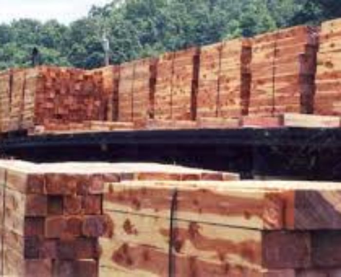Cedar wood