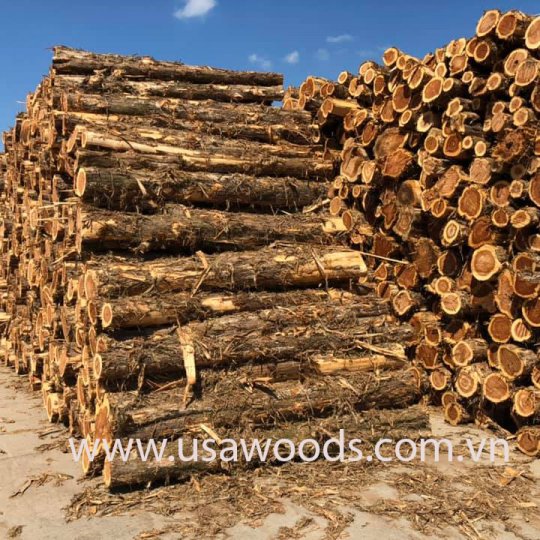Rounded red cedar wood