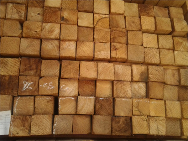 Dried rubber wood