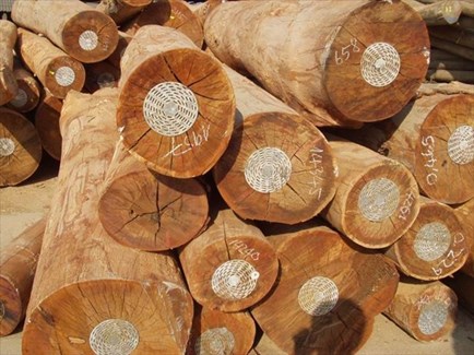Exported rubber wood
