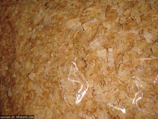 Rubber wood sawdust