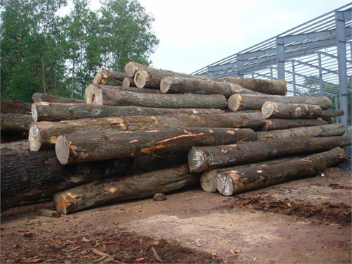 Red apitong wood