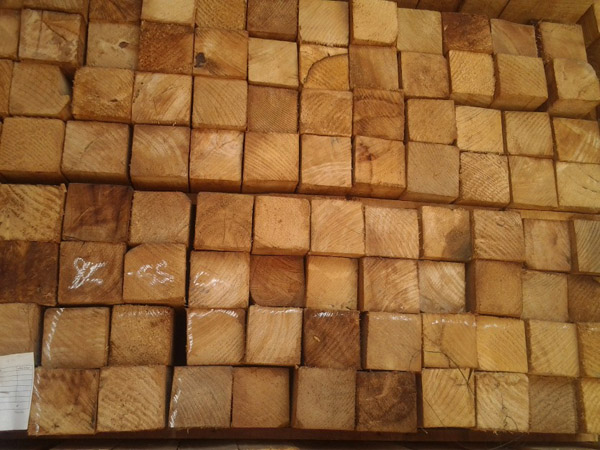Dried pine wood